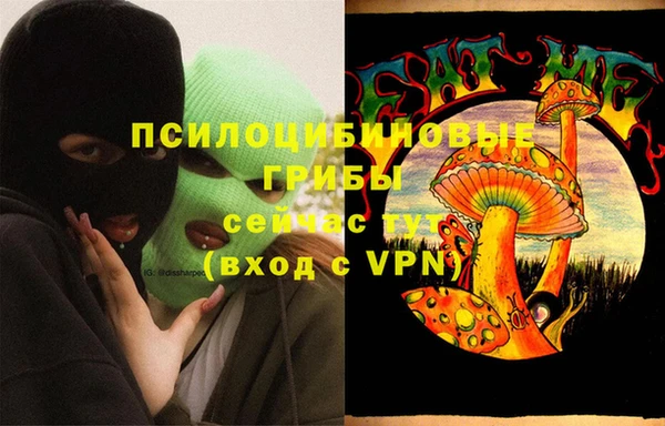 прущий лед Абаза