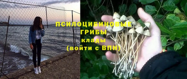 прущий лед Абаза